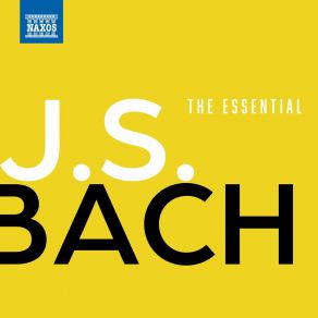 Download track Keyboard Concerto In F Minor, BWV 1056 _ II. Largo Roberto Alegro, Johann Sebastian Bach