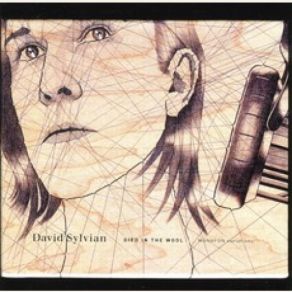 Download track The Last Days Of December David Sylvian