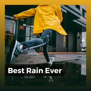 Download track Tall Rain Rain For Deep Sleep