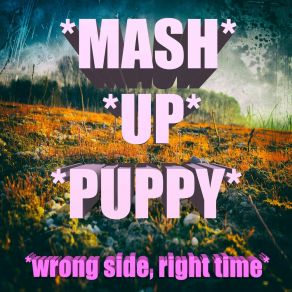 Download track In The Dark Mash Up Puppy