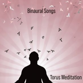 Download track Mid Year Breeze Chirping And Crows Torus Meditation