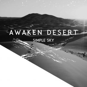 Download track In Control Simple Sky