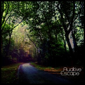 Download track Propeller Auditive Escape