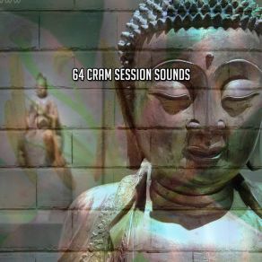 Download track Outer Body Meditation Awareness