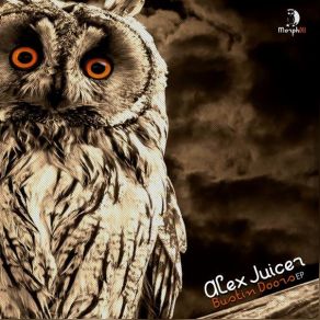 Download track Try It Again (Original Mix) Alex Juicer