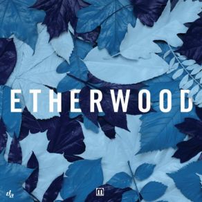 Download track You'll Always Be A Part Of Me Etherwood