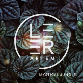 Download track Mystical Jungle Artem Leer