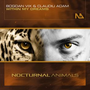 Download track Within My Dreams (Extended Mix) Bogdan Vix, Claudiu Adam