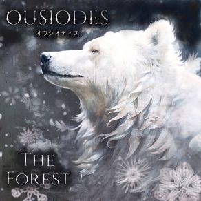 Download track The Fastest Bear OUSIODES