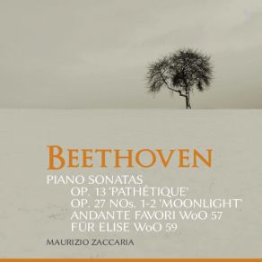 Download track Piano Sonata No. 14 In C-Sharp Minor, Op. 27 No. 2 