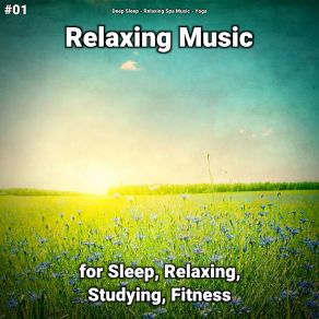 Download track Relaxation Music Part 58 Yoga