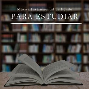 Download track Estudiar, Trabajar Y Leer Instrumental Fondo De La Lectura