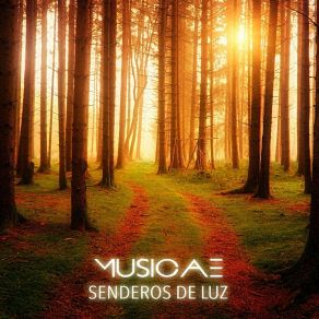 Download track Senderos De Luz Musicae