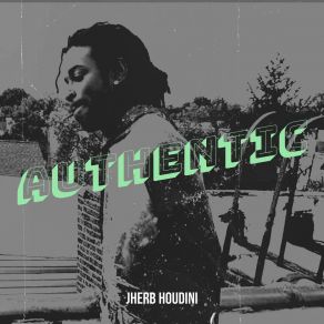 Download track Luigi JHerb Houdini