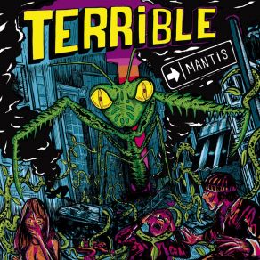 Download track Como Llegas Te Vas TerribleLibre, DJ Pere