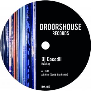 Download track Hold (David Diaz Remix) Dj CocodilDavid Diaz