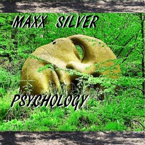 Download track Disorientation Maxx Silver