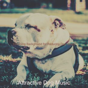 Download track Alluring Music For Cute Dogs Attractive Dog Music