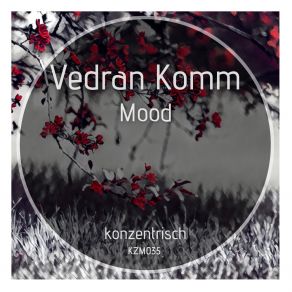 Download track Mood. C Vedran Komm