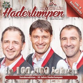 Download track In 100.000 Jahren (DJ Ostkurve Remix) Zillertaler Haderlumpen