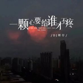 Download track 一颗心要给谁才不疼 DJ辉仔