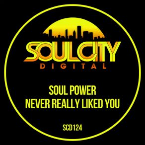 Download track Never Really Liked You Soul Power