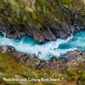 Download track Mind Detox With Calming River Sounds, Pt. 3 Steve Brassel