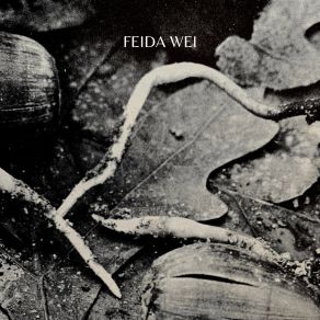 Download track Variaciones Sobre La Primavera Feida Wei