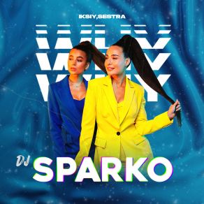 Download track Why Do You Cry (DJ SPARKO Radio Remix) SestraDJ Sparko