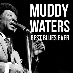 Download track She's 19 Years Old Muddy Waters