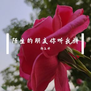 Download track 陌生的朋友你听我讲 韩玉婷