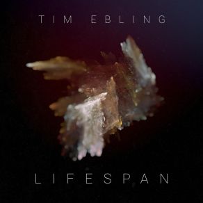 Download track Lumen Tim Ebling