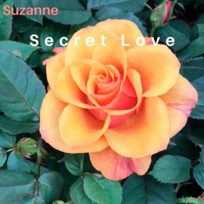 Download track Waterfall Suzanne