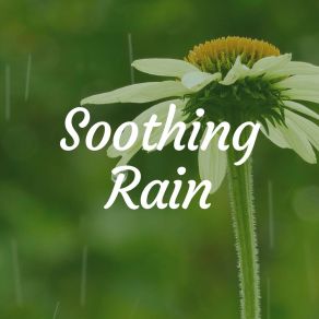 Download track Secured Rain Loopable Rain Sounds