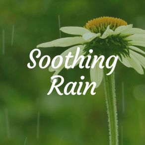 Download track Healing Rain For Sleep, Pt. 12 Loopable Rain Sounds