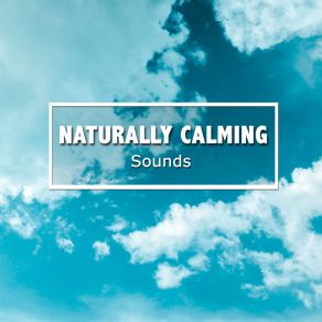 Download track Calming Binaural Zen Meditation Awareness