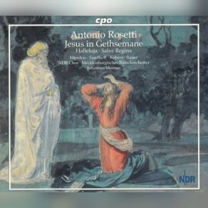 Download track Rezitativ (Alt): Wen Seh Ich Dort An Jenem Berge Liegen? NDR Chor, Soli, Johannes MoesusAlt, Mecklenburgisches Barockorchester