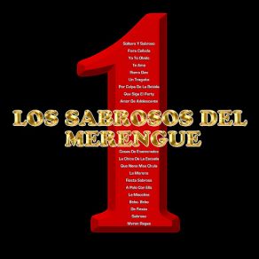 Download track De Fiesta Los Sabrosos Del Merengue