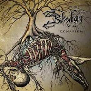 Download track Voynich Bloodrain