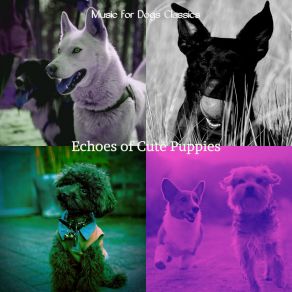 Download track Grand Backdrops For Dogs Music For Dogs Classics