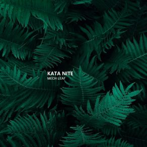 Download track Apocalypse Asteroid Kata Nite