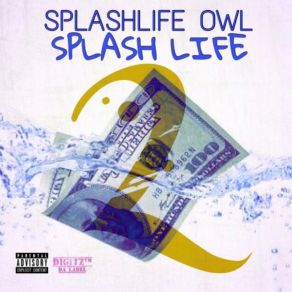 Download track Rooftop Party SplashLife Owl