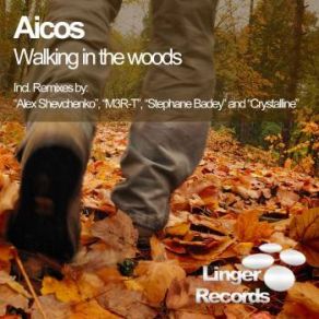 Download track Walking In The Woods (Alex Shevchenko Remix) Aicos