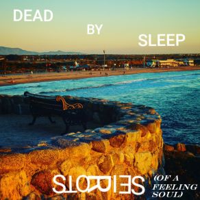 Download track Even When You Cry Dead By Sleep