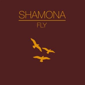 Download track One Of These Days Shamona