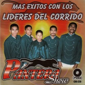 Download track Tal Vez Pantera Show