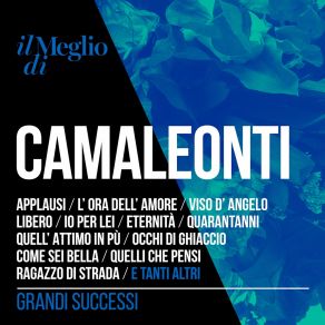 Download track Viso D'angelo I Camaleonti