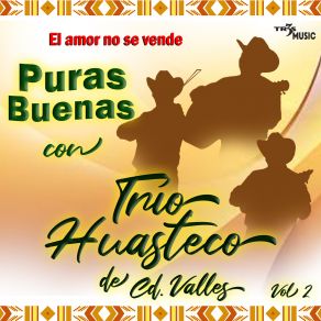 Download track A Donde Se Fue El Trio Huasteco De CD Valles