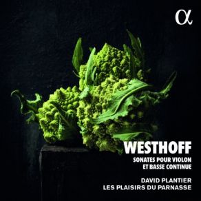 Download track Sonata No. 5 In G Minor II. Allegro Les Plaisirs Du Parnasse, David Plantier