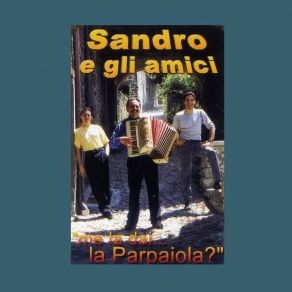 Download track Fonsino Sandri E Gli Amici